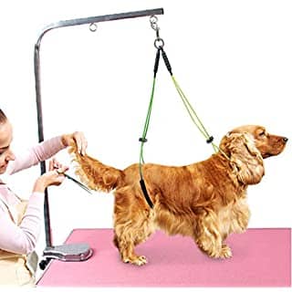 Spaniel Dog Grooming Tables
